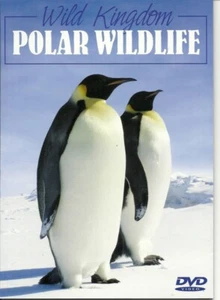EISWILDTIERPINGUINE, EISBÄREN, WALE & SEGELN IN DER WILDNIS NATUR DVD - Bild 1 von 2