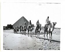 LG17-224 1940-1980s CAMELS ALL OVER THE WORLD PHOTO LOT 19 Pc Vtg B&W Orig Wire