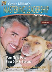Dog Training - Cesar Millan’s Mastering Leadership Series 6 DVD Limited Edition 