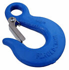 Eye Slip Hook, Blue, 5/16-In. -N265-512
