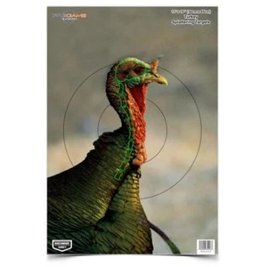 Birchwood Casey Pregame Turkey Paper Targets 12"x18" 8-Pack Multi-Color 35403 - Picture 1 of 3