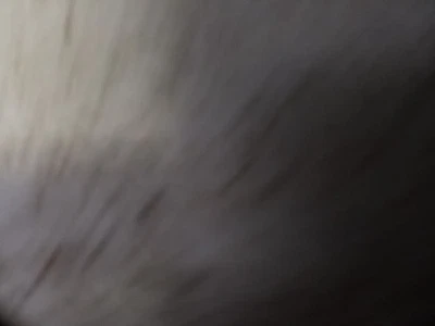 Anti-Lock Brake Part Actuator And Pump Assembly 4 Door Fits 08-10 TACOMA 302421 Foto 1 de 4