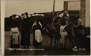 España Antigua Postal De Colección Tenerife Campesinas Lecheras Campesina Lechera (1325) - Imagen 1 de 2