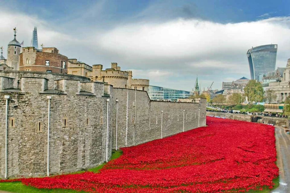 Torre de Londres Amapola Sangre Barrida Tierras Mares de Amapolas Rojas Fotografía Imagen Foto 1 de 1