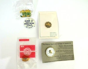 Student Council Pin Lot National Association Pikes Smoky Peak Leadership Lapel - Picture 1 of 6
