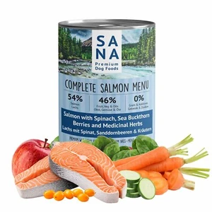 Lachs mit Spinat & Sanddorn Nassfutter für Hunde 400g Getreidefrei ohne Zusätze - Bild 1 von 5