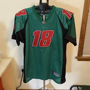 Vintage Chase Authentics Bobby Labonte Interstate Batteries #18 NASCAR Jersey - Picture 1 of 11
