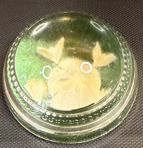 Clear Glass 3 ¼” Round Beaded Domed Recessed Magnifier Paperweight Sand Dollar - Picture 1 of 6