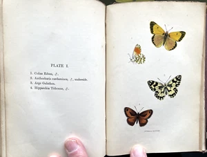 1867 British Butterflies & Moths by H.T. Stainton 1st/HB/16 PLATES/292pp - Picture 1 of 8