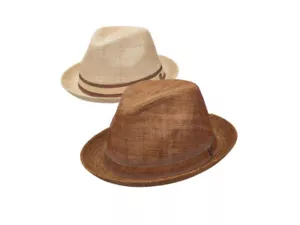 Dorfman Pacific "DPC" Men’s Pacific Coast Fall Straw Fedora In Natural & Brown - Picture 1 of 9