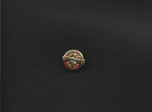 Prendedor miembro vintage Caballeros de Pitias 25 años - Imagen 1 de 1