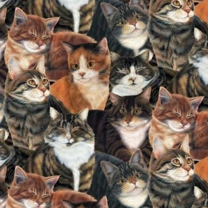 Cat Fabric - Sew Curious Pets Allover 80160 - Wilmington YARD - Picture 1 of 1
