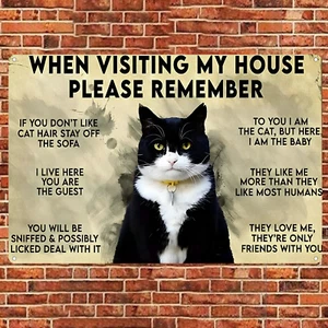 Funny Cat Metal Sign When Visiting My House Cat House Rules Sign for Cat Lovers - Picture 1 of 6