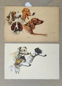 CANE CANI CANNA-CANI DA CACCIA SEGUGIO-LOTTO 2 CARTOLINE-C65-166 - Foto 1 di 1