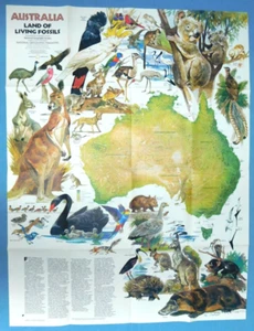Febrero 1979 AUSTRALIA - Suplemento mapa Tierra de Fósiles ~ National Geographic - Imagen 1 de 3
