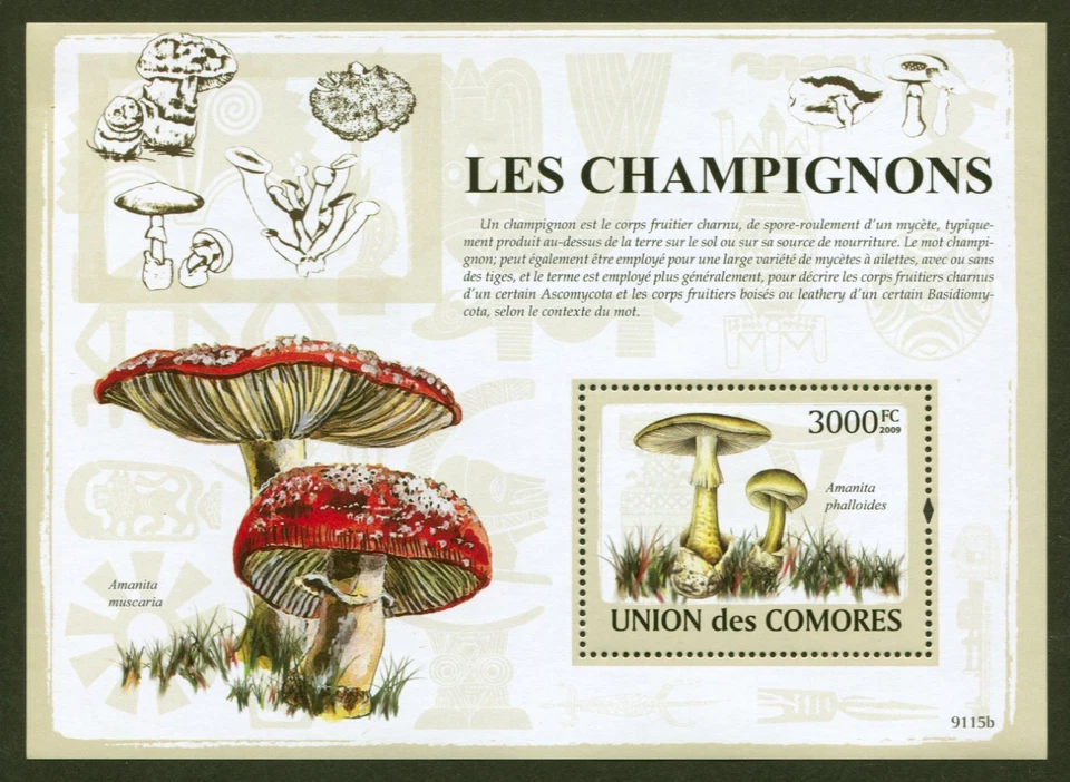 Коморские острова Sc # 1070, грибы и фауна, хорошее состояние как новые без наклеек и следов S/S, без дефектов, SCV: $15,50 - Изображение 1 из 1