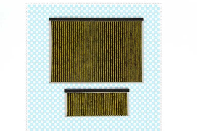 EVH-XTRA® CleanAir Plus Geruchsfilter für Bosch, Siemens wie 11041790, 17000965
