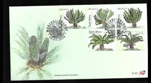 SUDÁFRICA, 2019 CYCAD FDC - Imagen 1 de 1