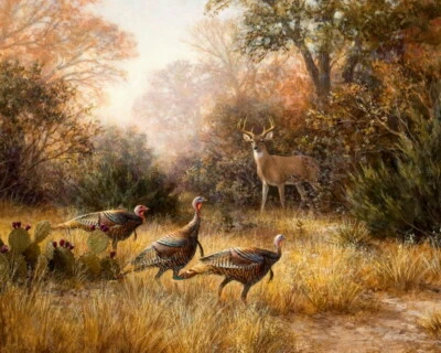 Arte mural Texas salvaje pavo y ciervo pintura al óleo giclee impreso en lienzo L2593 Foto 1 de 4