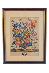 Robert Furber "April & June" pair of 18th Century Botanical Engravings - Picture 1 of 12