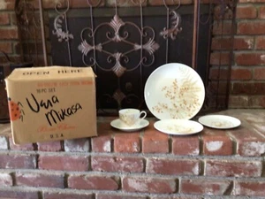 RARE! NEW VTG. VERA NEUMANN FOR MIKASA BROWN LACY FERN 16 PIECE DINNER SET IOB - Picture 1 of 10