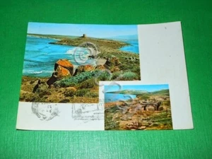 Cartolina S. Giovanni di Sinis e scavi di Tharros 1961. - Picture 1 of 1