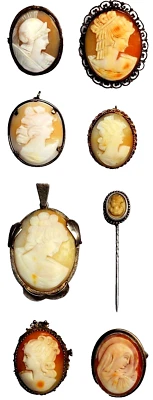 Konvolut Lot Sammlung 8 alte Muschel Kameen Gemmen Anhänger Broschen Nadel Camee - Bild 1 von 4