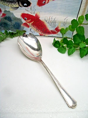 Oneida Wm. Tenedor para servir ensaladas o bayas de plata A. Rogers BERKELEY 1929 Foto 1 de 4