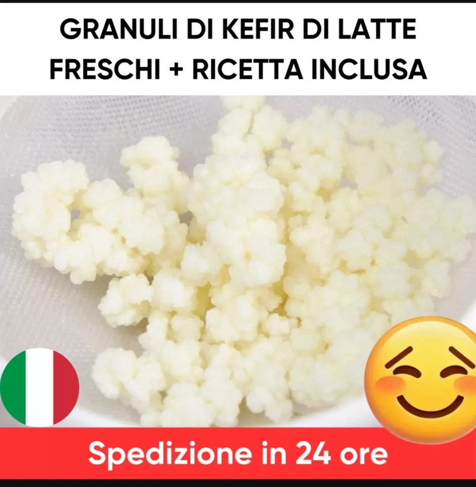 ✅KIT GRANI KEFIR DI LATTE BIO FRESCHISSIMI E RICETTA. OFFERTISSIMA 10GR. 10EURO. - Immagine 1 di 1