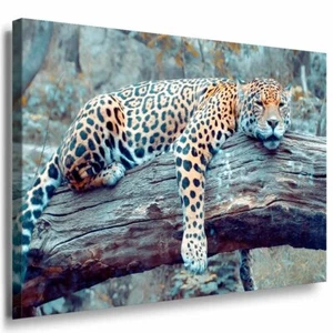 Leopard liegt auf Baumstamm Leinwandbild AK Art Bilder Mehrfarbig Kunstdruck XXL - Bild 1 von 1