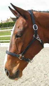 Cuello de cabeza acolchado de cuero marino inglés Halter Hav CS - Imagen 1 de 1