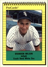 1991 South Bend White Sox ProCards #2867 Brandon Wilson