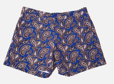 Banana Republic Shorts Womens 6  Blue Paisley 4.5" Inseam — 第 1/4 张图片