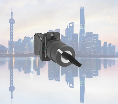 1PC NEW Schneider Key switch XB5AG21C ZB5AZ101C+ZB5AG2C 1NO #LL - Image 1 of 2