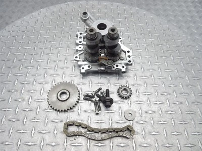 Harley Street Glide FLHXI 2006 06-13 árbol de levas leva placa de soporte sincronización del motor Foto 1 de 4