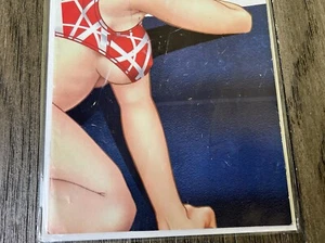 Wild Cherrys NM/ NM+ Rare HTF Manga Risqué Comic - Imagen 1 de 7