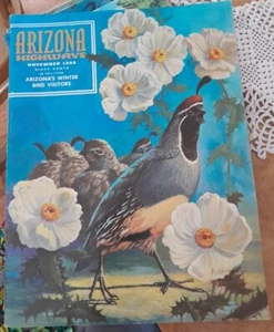 Arizona Highways Nov. 1968 Magazine, Winter Bird Visitors, Wonderful Condition! - Imagen 1 de 7