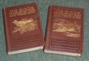 1920 2 vol Birds of the British Isles and Their Eggs by T. A. Coward - Picture 1 of 3
