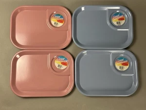 VTG 80s Rubbermaid Melamine 3850 Pink & Blue TV Tray Plate Cafeteria Set (4) NOS - Picture 1 of 5