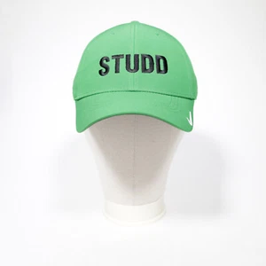 Gorra de golf Nike Golf Dri Fit para hombre M/L estructurada Swoosh EQUIPO TACHUELAS verde - Imagen 1 de 13