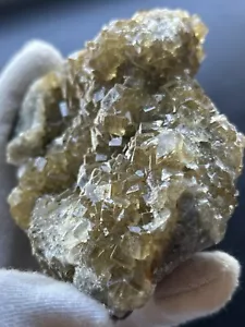 Glänzende Gelbe Fluorid XL Stufe - Bild 1 von 21