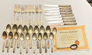 35 Pieces Roseanne Silver Plate Flatware KNICKERBOCKER by Wallace w/certificate - Picture 1 of 6