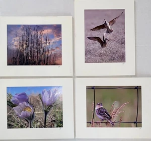 Fotografia Natura North Dakota Set 4 Artisti Firmati Matted Candis Pendergast - Foto 1 di 11