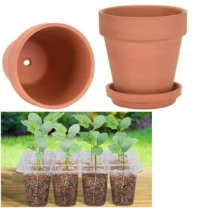 Set of 3 10cm Terra Cotta Terracotta Pot Science 10 & Seedling Germination Tray - Picture 1 of 7