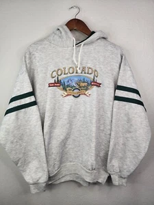 2000 Y2K Colorado Pagosa Springs San Juan Mountains Natur Hoodie Vintage Large  - Bild 1 von 10
