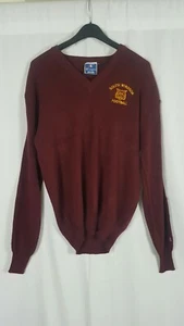 Maglione maglia Champion vintage marrone manica lunga South Windsor calcio grande - Foto 1 di 9