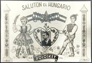 ESPERANTO OLD POSTCARD Greetings from Hungary, POLOSKEY - Picture 1 of 3