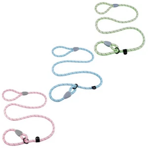 Reflective Rope Dog Lead Training Puppy Slip Lead for Dogs 1.4m AllPetSolutions - Picture 1 of 14