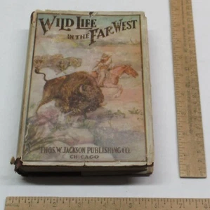 WILD LIFE IN THE FAR WEST - A DETECTIVE'S THRILLING ADVENTURES AMONG THE INDIANS - Picture 1 of 14