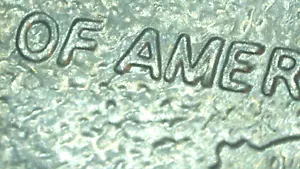 (1) 2002P State Quarter (error die chip) - Picture 1 of 3